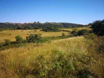 Vacant Land / Plot For Sale in Adams Rural, Umbumbulu