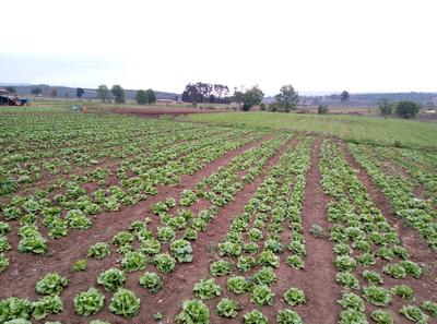 Farm For Sale in Baynesfield, Pietermaritzburg